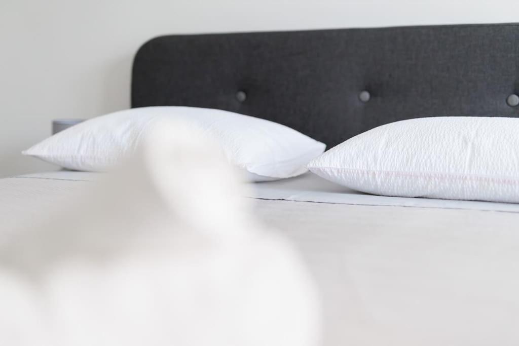 Apartment Dominicus ザダル エクステリア 写真