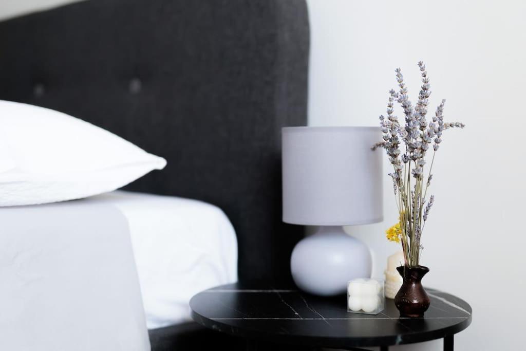 Apartment Dominicus ザダル エクステリア 写真